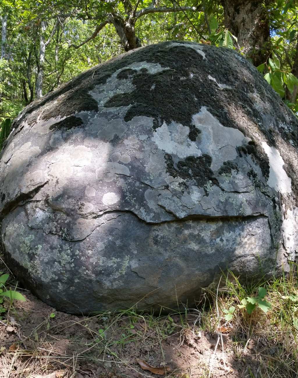 Come si � formato?